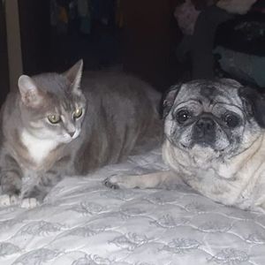 Meet your Posher, Maureen lex